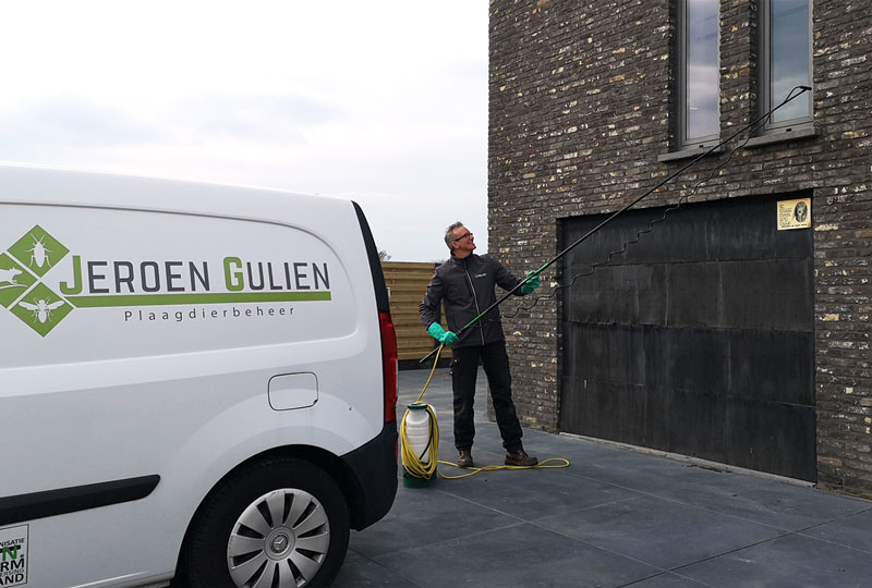 klustervlieg behandeling